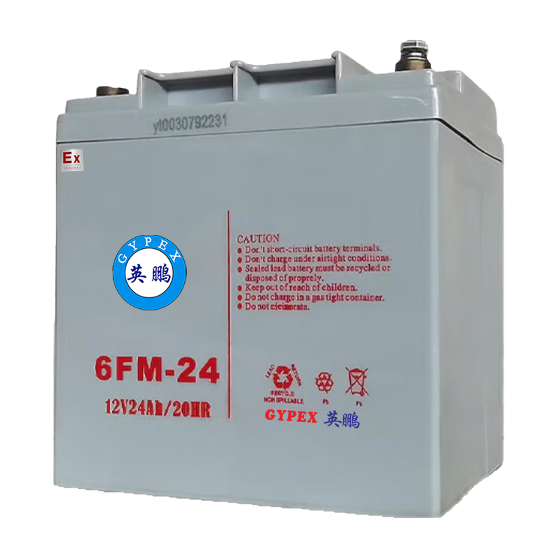 防爆铅酸蓄电池12V -24AH
