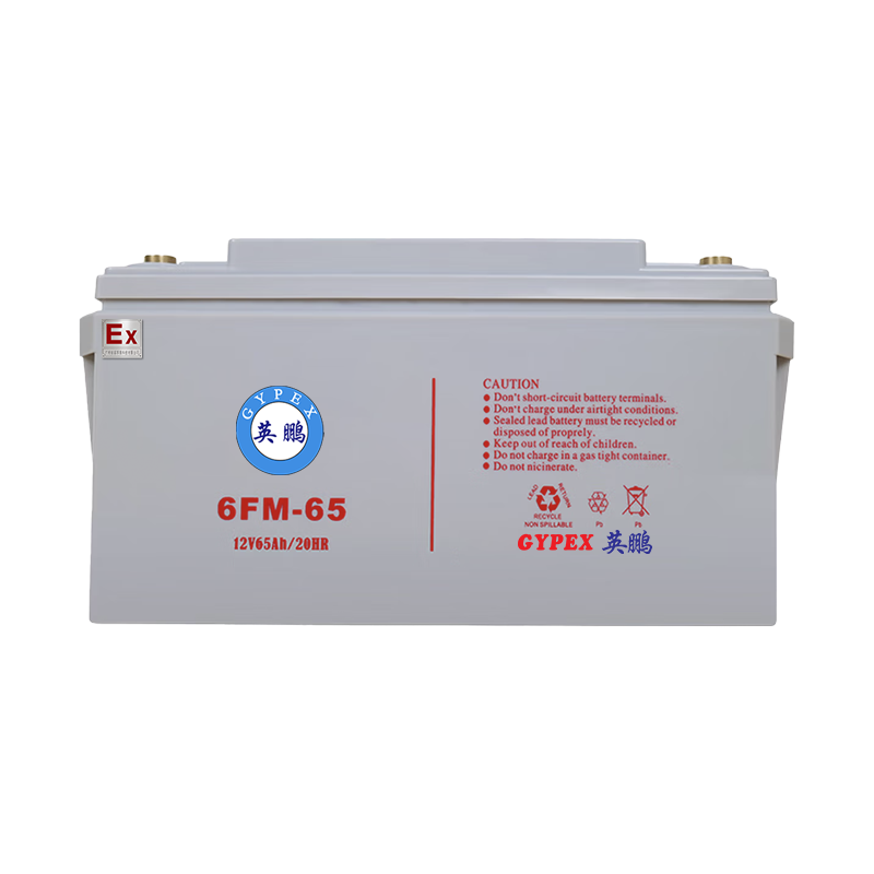 防爆UPS配件畜电池12V-65AH