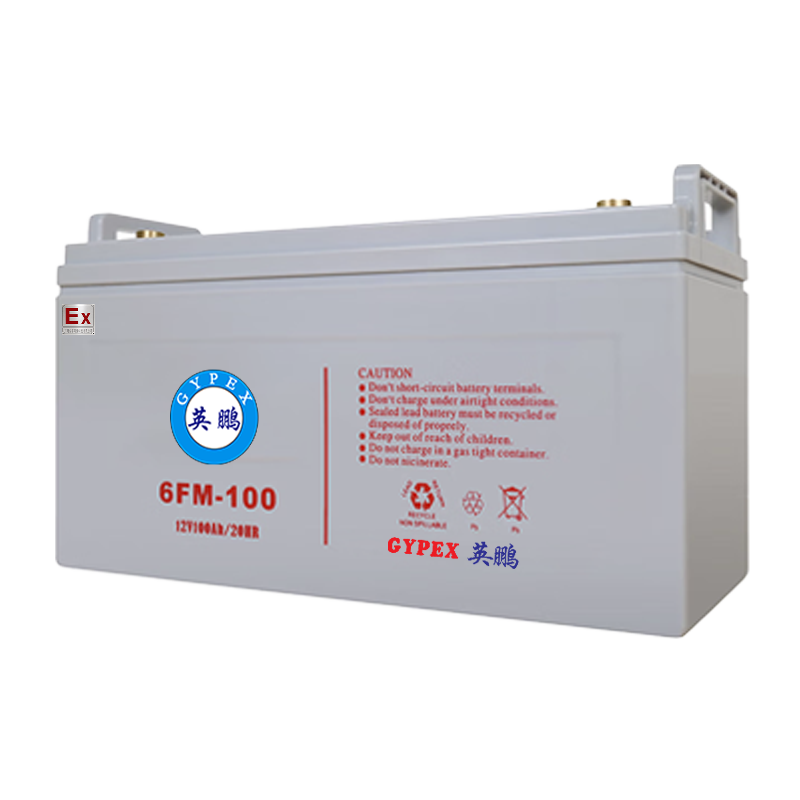 防爆UPS配件畜电池12V-100AH